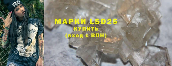 прущие грибы Абаза