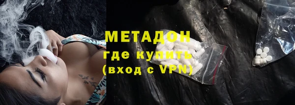 прущие грибы Абаза