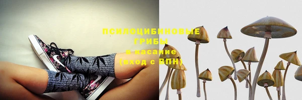 a pvp Абдулино