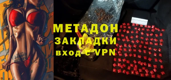 прущие грибы Абаза