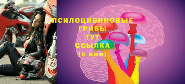 прущие грибы Абаза